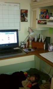 Michelle Fish - photo of a mommy home office