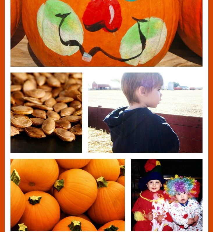 A collage of Halloween-themed images: a funny-faced pumpkin, roasted pumpkin seeds, a child looking at a field, a group of pumpkins, and two children in costumes. Text reads "Halloween Playdate Ideas for Toddlers & Preschoolers" at the bottom. Perfect for sparking creativity and fun!