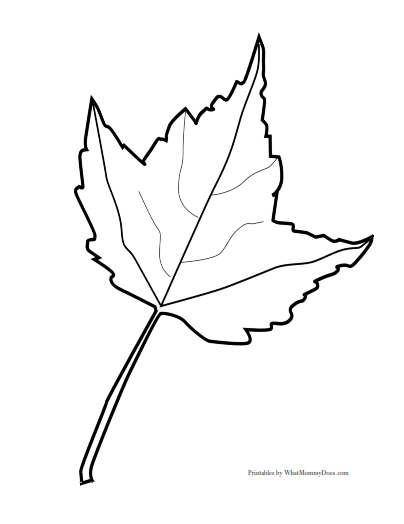 Large printable maple leaf pattern - one of 3 sets of maple leaves. You can use these outlines for crafts, fall project templates, even coloring pages!