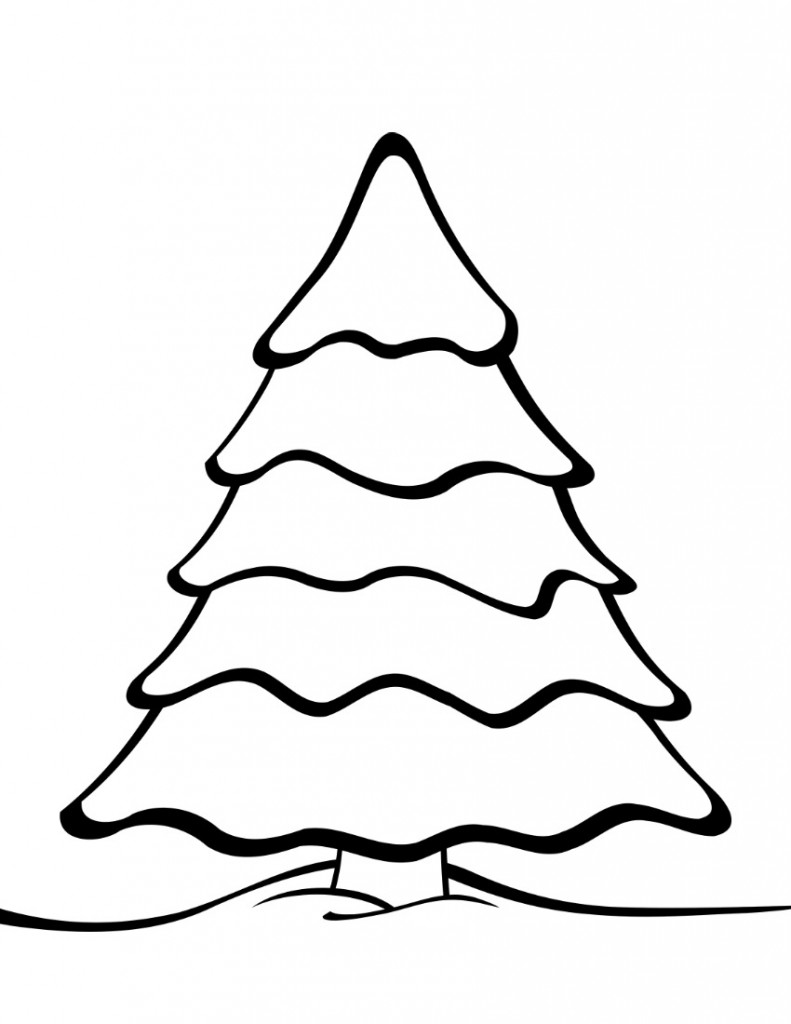 pine tree coloring pages