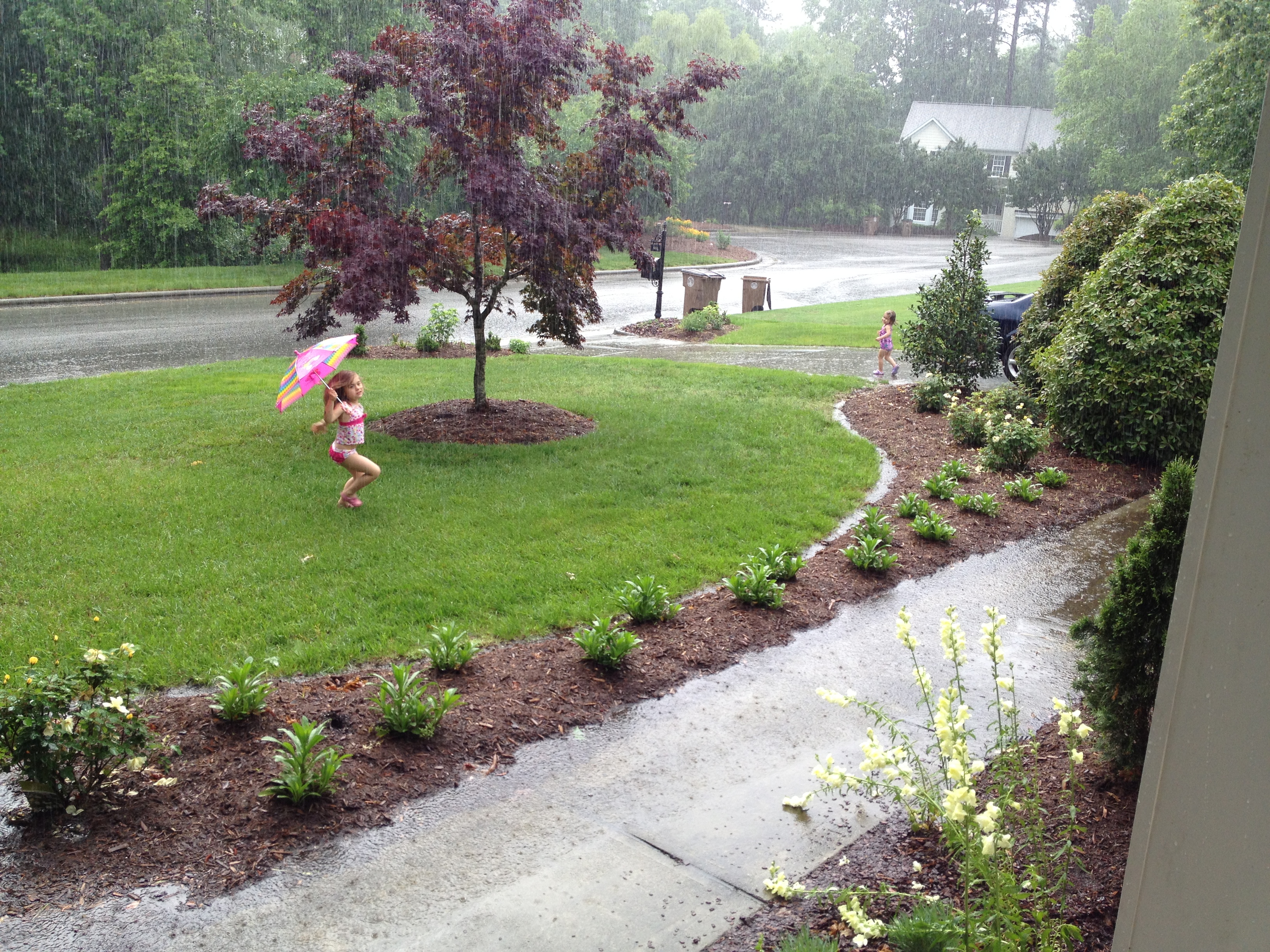 singing in the rain