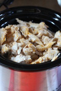Close-up of cooked shredded chicken inside a black and silver crockpot. The chicken appears moist and tender, with pieces varying in size and slightly golden from seasoning. The slow cooker is situated on a kitchen counter with a blurred background, promising mouthwatering buffalo flavors.