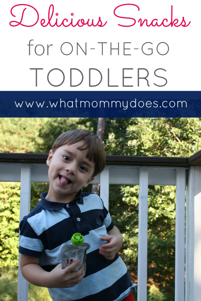 Delicious Snacks for on the go Toddlers