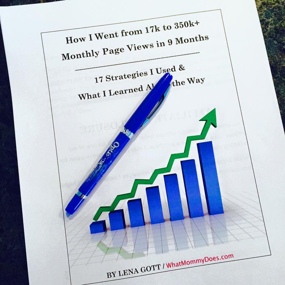 Blog Traffic Ebook - How I Increased My Monthly Page Views to Over 350,000 in 9 Months