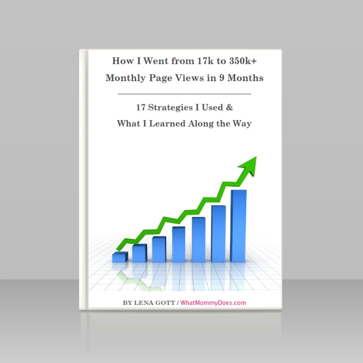 Blog Traffic Ebook - How I Increased My Monthly Page Views to Over 350,000 in 9 Months
