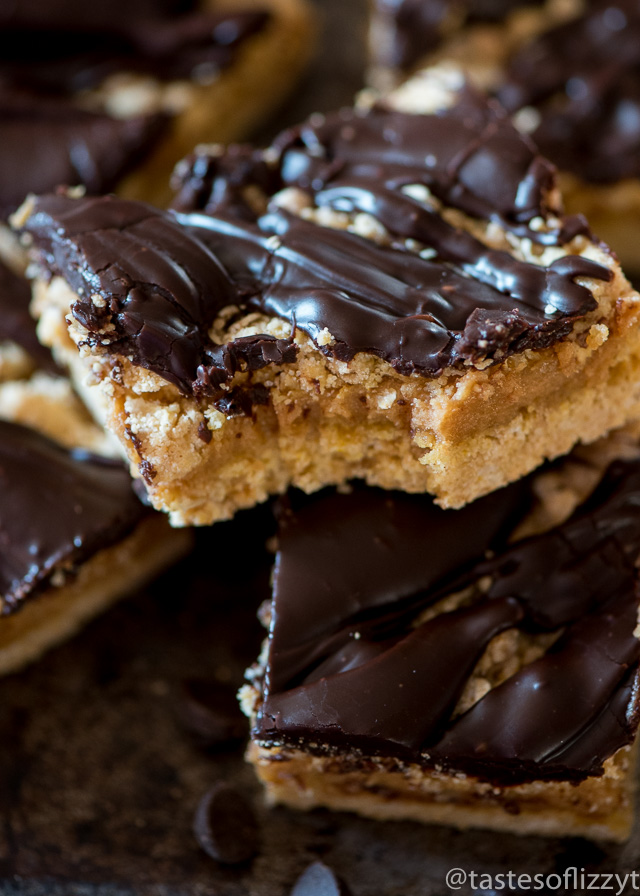Chocolate Peanut Butter Ooey Gooey Bars from Tastes of Lizzy's Ts