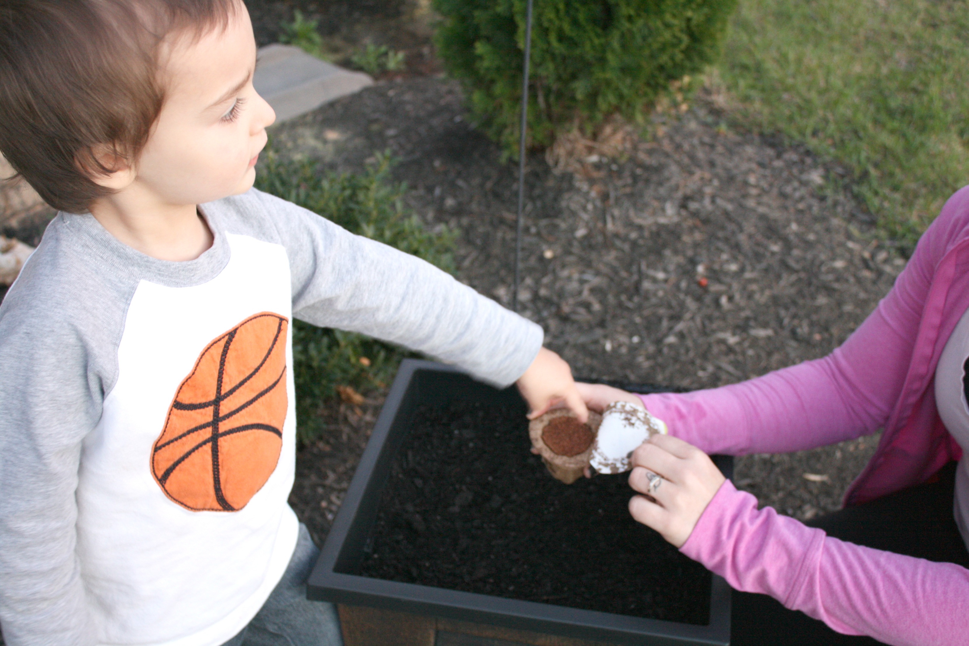 Dominic planting tomatoes toddler