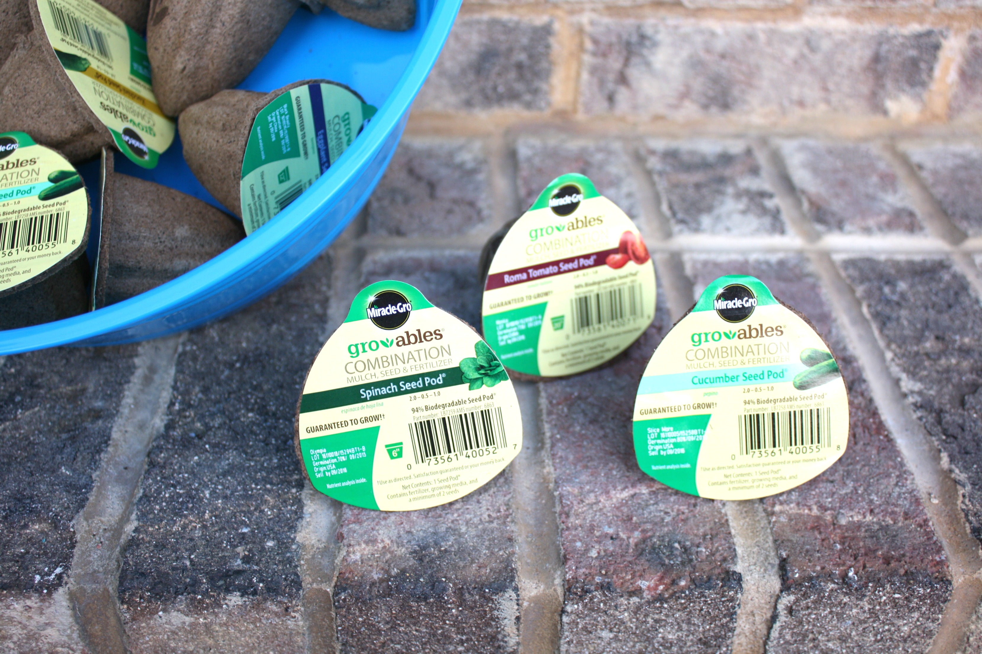Groables kids activities for spring