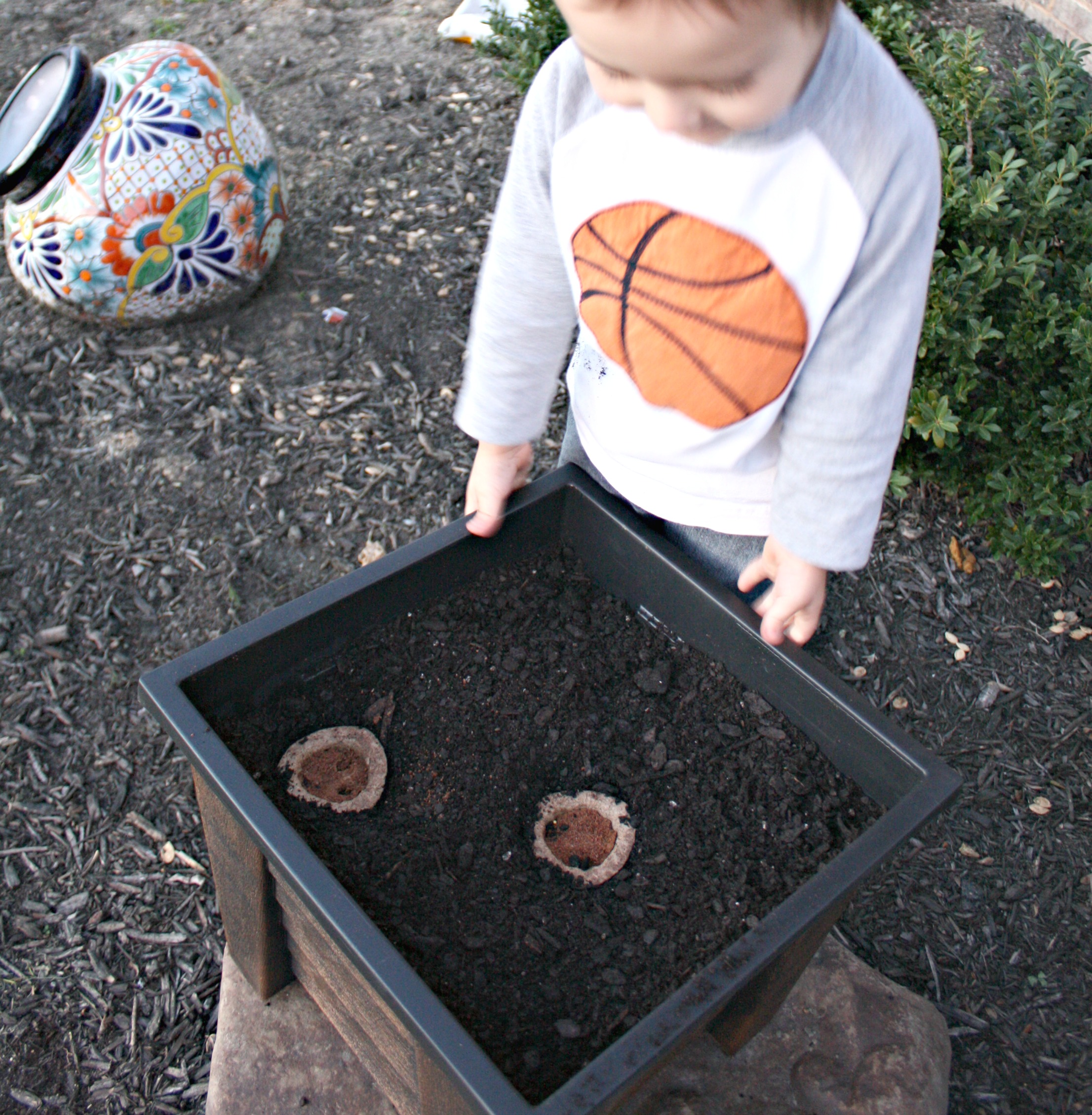 dominic big planter basil