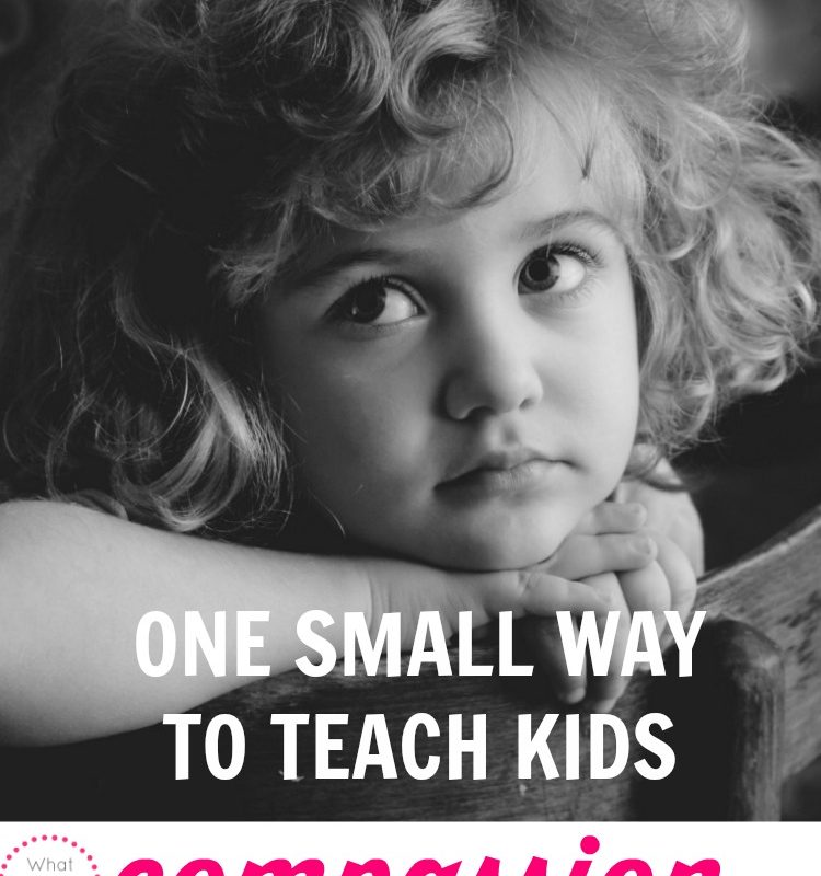 I like to teach my kids compassion about helping others any time I can....today we learned about the foster care system.