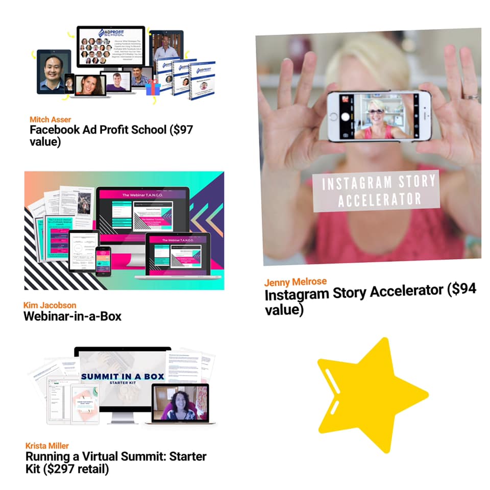 Collage of four online courses: "Facebook Ad Profit School" by Mitch Asser ($97), "Instagram Story Accelerator" by Jenny Melrose ($94), "Webinar-in-a-Box" by Kim Jacobson, and "Running a Virtual Summit: Starter Kit" by Krista Miller ($297). Enhance your skillset with blogging tips to become a Six Figure Blogger.