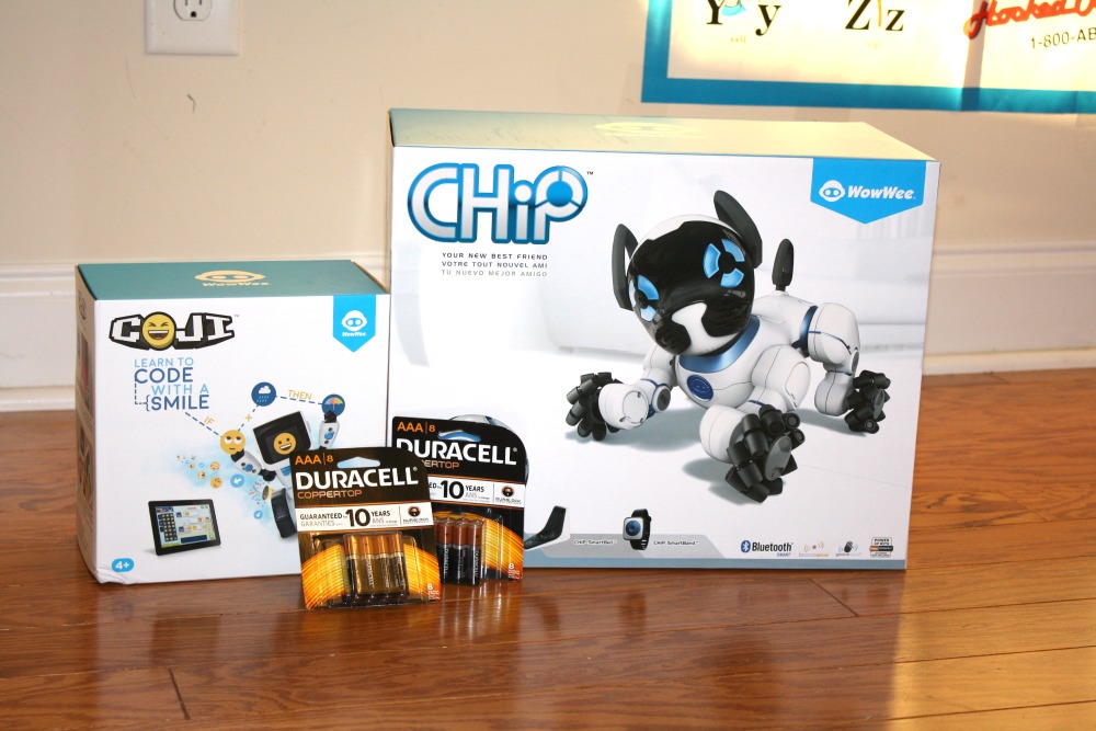 Meet CHiP and COJI. Duracell powers up rainy day fun!!