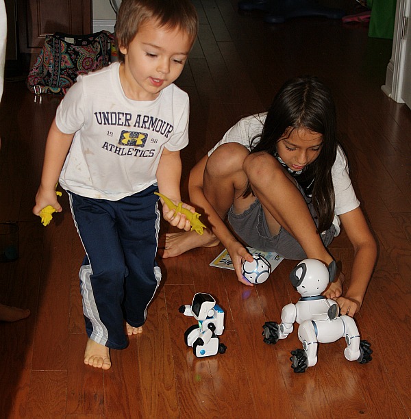 CHiP and COJI are fun for the whole family. Power up hours of fun with Duracell!