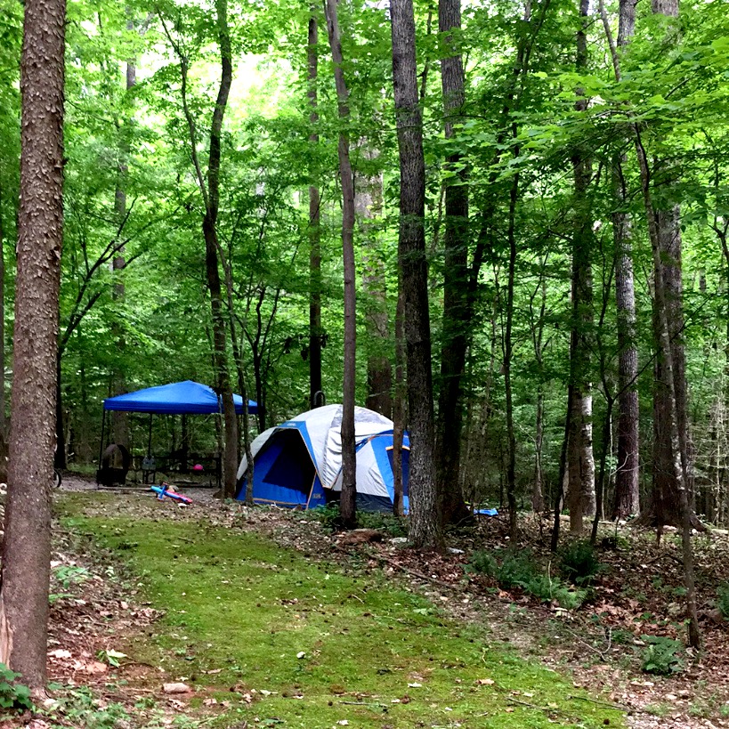 A campsite in a forest with a blue and white tent and a blue canopy tent, perfect for unplugging for a weekend. The ground is covered with moss, leaves, and fallen branches. Tall trees with lush green foliage surround the tents, creating a serene environment ideal for camping with kids. Camping gear is scattered around.