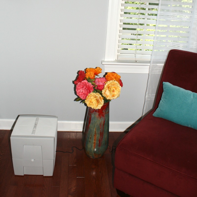 A room corner in the master bedroom with a maroon chair and blue-green cushion, a ceramic vase of colorful flowers on the floor, and an allergy-friendly white dehumidifier nearby. The light gray wall is bathed in sunlight streaming through a white, sheer, and partially open window blind.