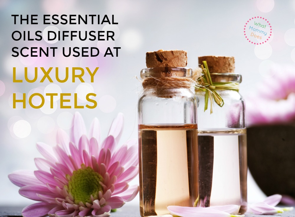 essential oil diffuser used at the Grand America hotel - the scent they use at spas edited