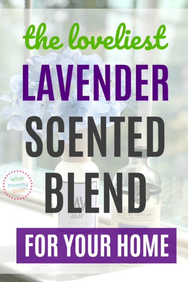 I've found THE BEST SMELLING lavender blend that makes my home smell AMAZING! This essential oils combo makes your house smell so good - you'll get tons of compliments! | fresh lavender scent for indoor use, aromatherapy ideas