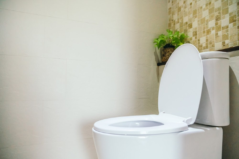A clean, modern bathroom with a white toilet, the lid up, against a white and beige-tiled wall. A small, leafy green plant sits on a shelf above the toilet, adding a touch of nature to the minimalist design. The lighting is bright and even—one of the best ways to ensure your bathroom smells good.