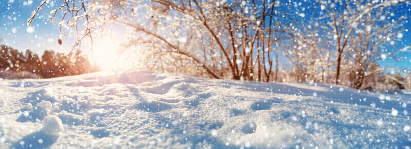 A scenic winter landscape shows a snow-covered field with trees in the background. Snowflakes are falling, glistening in the sunlight. The sky is clear and blue, with the sun shining through the branches, casting a warm glow over the snowy scene—perfect inspiration for free printable snowflake templates.