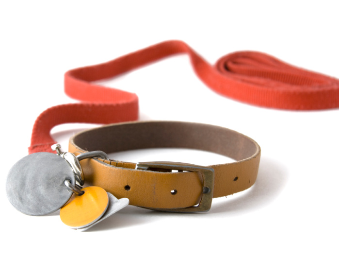 A red leash is attached to a brown leather dog collar laying on a white surface. The collar has two metal tags and a yellow plastic tag attached to it. This could be an ideal DIY project for kids crafts, with the leash coiled neatly in the background for added charm.