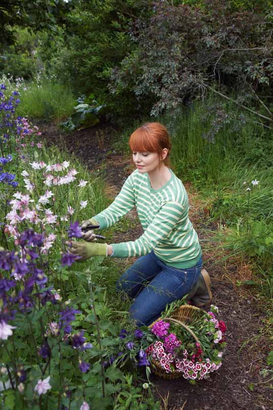 Woman picking flowers in garden as a low cost gift idea