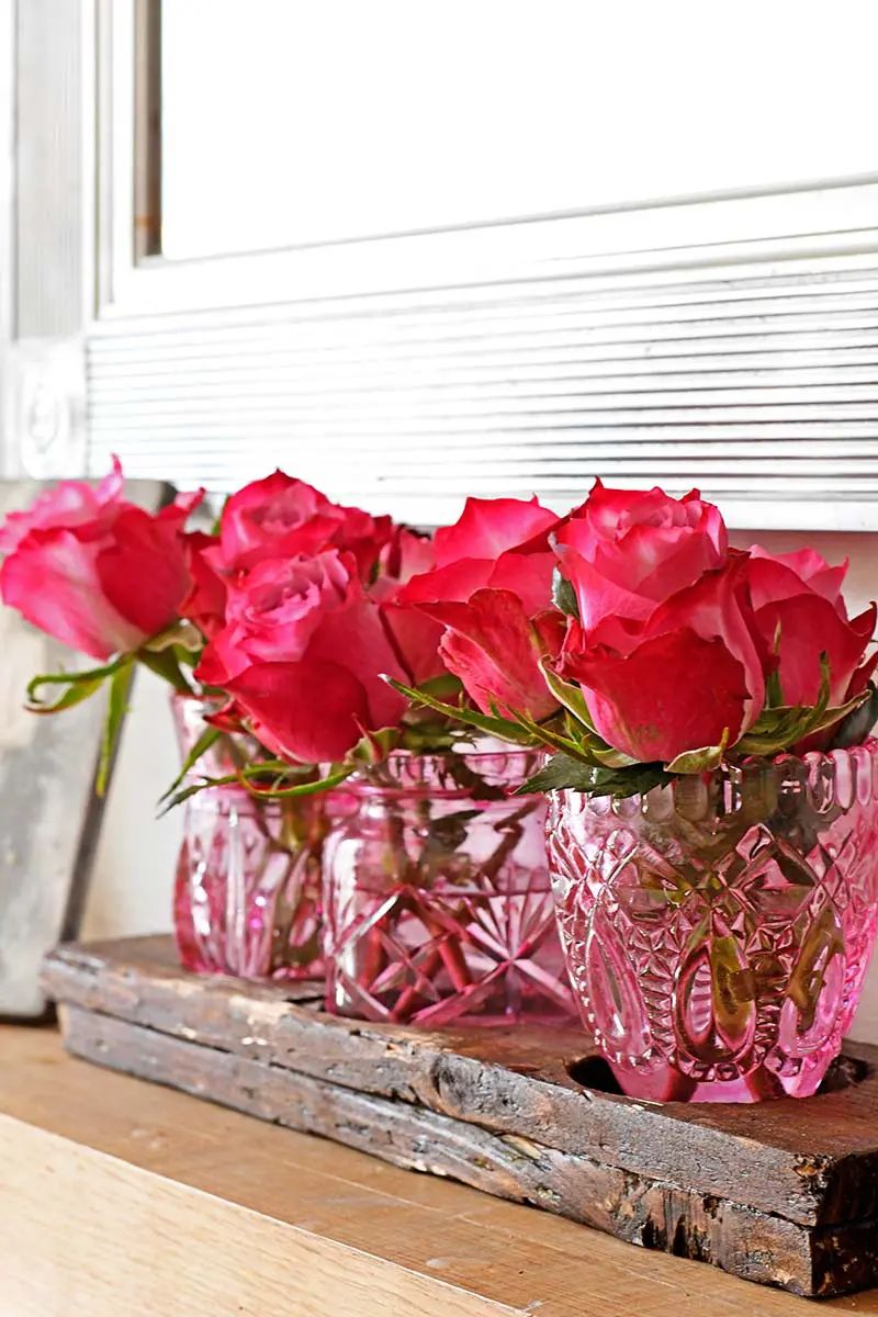 A row of vibrant pink roses is displayed in three small, ornate glass vases. The vases are set on a rustic wooden plank on a light-colored shelf, creating a visually appealing contrast between the delicate flowers and the rough wood—perfect as elegant handmade Mother’s Day gifts.