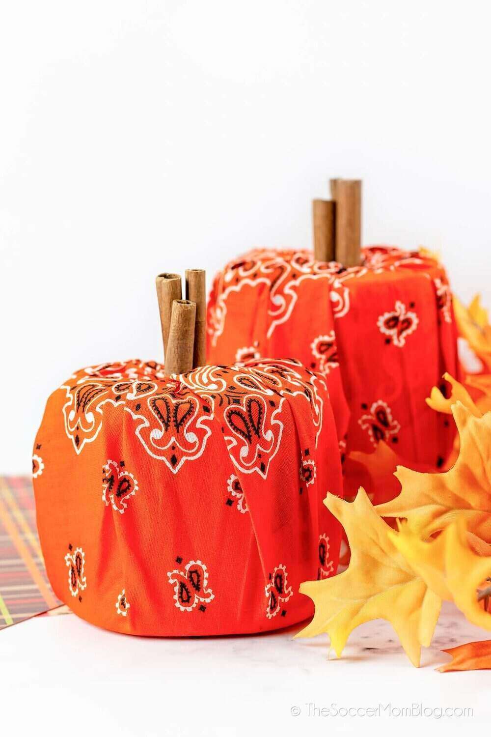 a white background with two orange pumpkin shaped centerpieces with cinnamon stick stems. 
