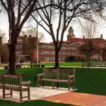 photo of a college campus sidewalk with trees and educational buildings