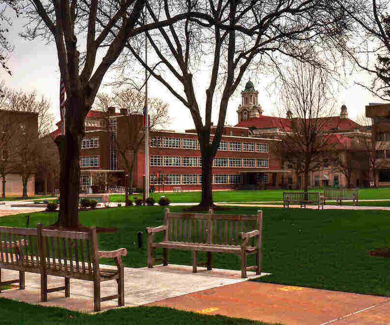 photo of a college campus sidewalk with trees and educational buildings