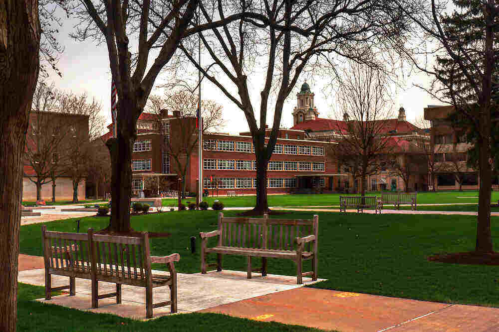 photo of a college campus sidewalk with trees and educational buildings